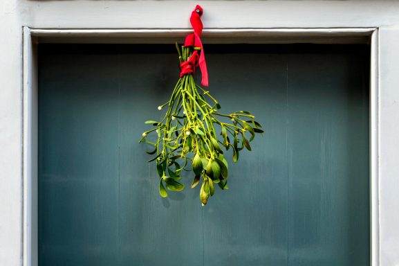 Fresh Mistletoe